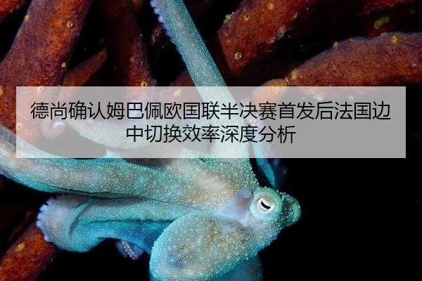 德尚确认姆巴佩欧国联半决赛首发后法国边中切换效率深度分析